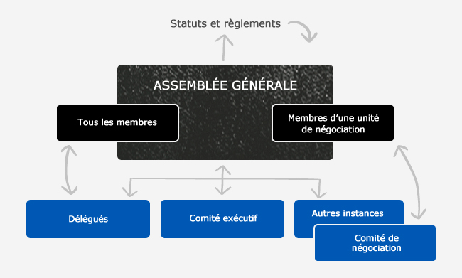 schema